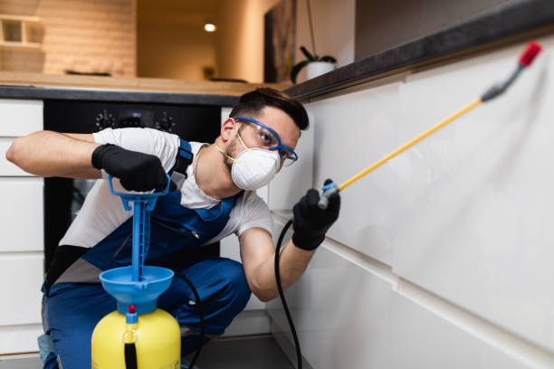 Best Ant Control Services  in Venice Gardens, FL