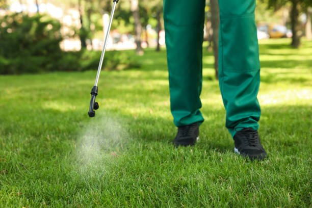 Best Best Pest Control Companies  in Venice Gardens, FL