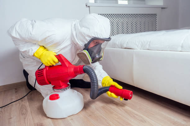 Best Termite Control Services  in Venice Gardens, FL