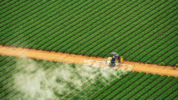 Best Termite Control Services  in Venice Gardens, FL