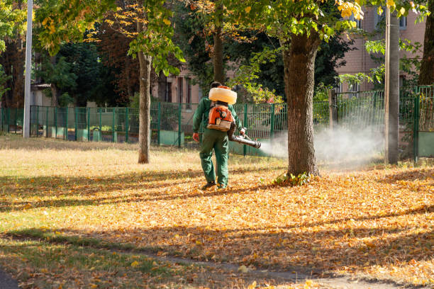 Best Local Pest Control Services  in Venice Gardens, FL