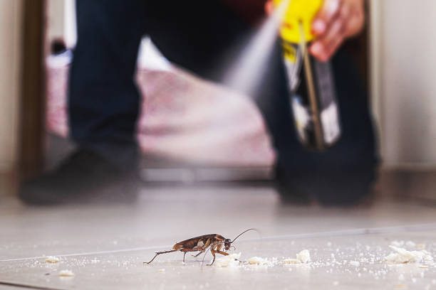 Best Pest Inspection Near Me  in Venice Gardens, FL