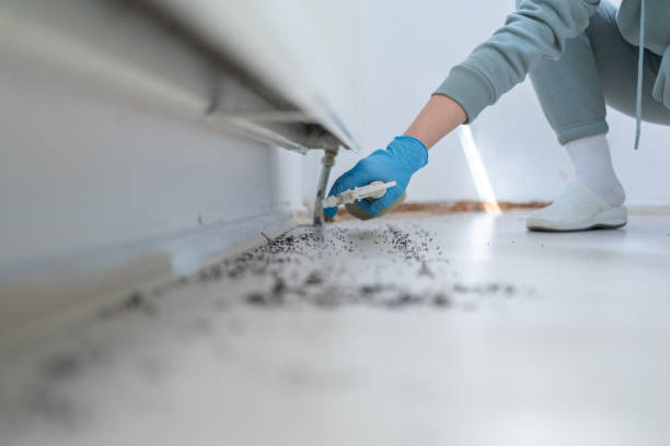 Best Affordable Pest Control Services  in Venice Gardens, FL